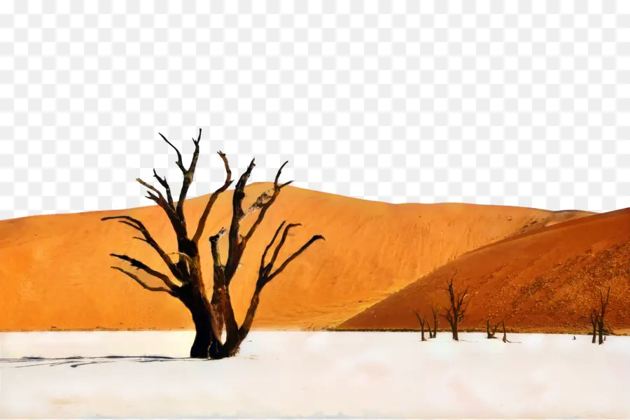 Deadvlei，Spitzkoppe PNG