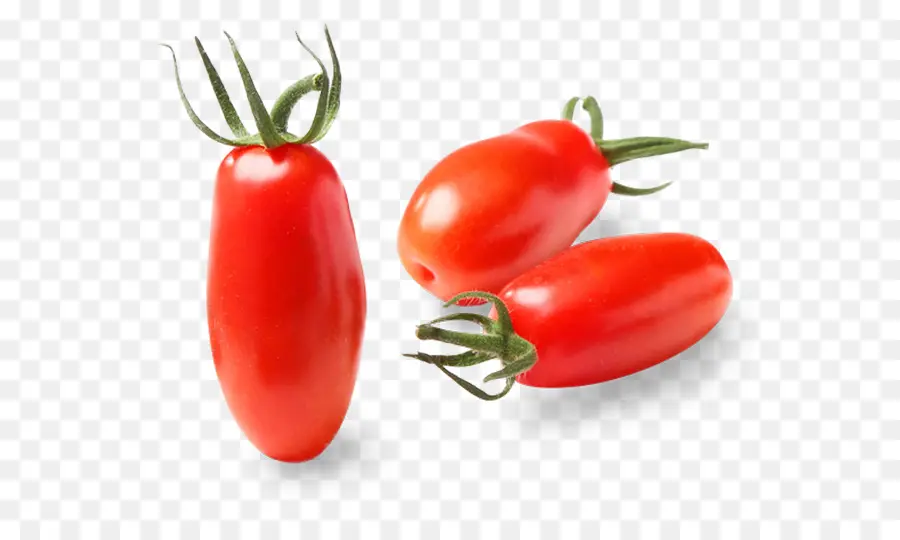 Ameixa Tomate，Bush Tomate PNG