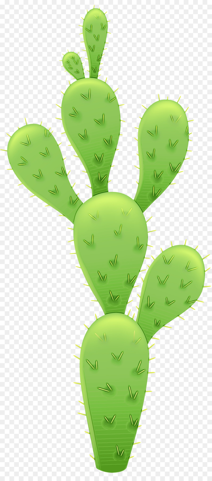 Cactus. Кактус. PNG. em 2023  Arte com cactos, Cactos desenho, Ilustrações