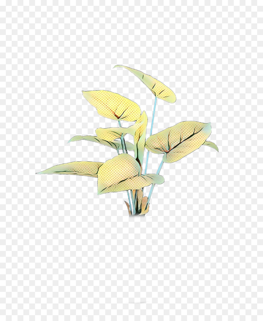 Flowerpot，Plantas PNG