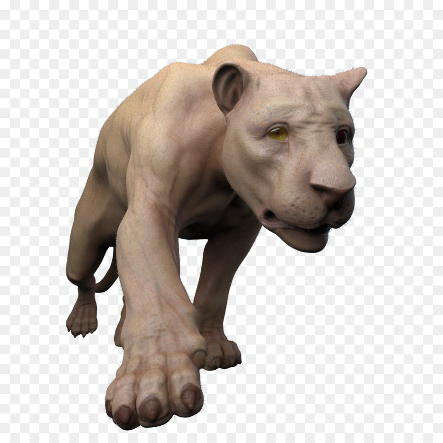 Gato，Dos Animais Terrestres PNG