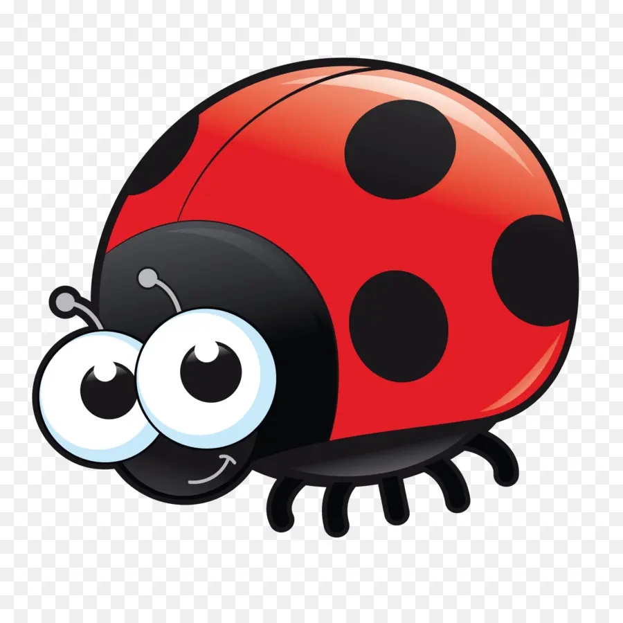 Ladybird Beetle，Desenho Animado PNG