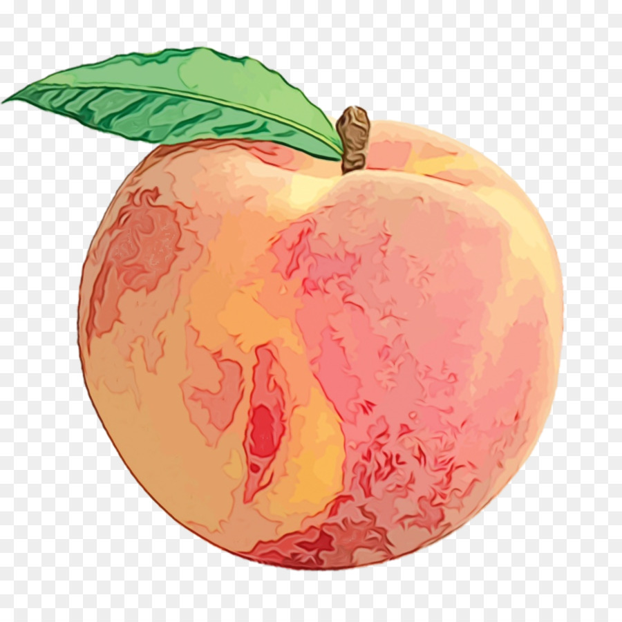 Apple，Frutas PNG