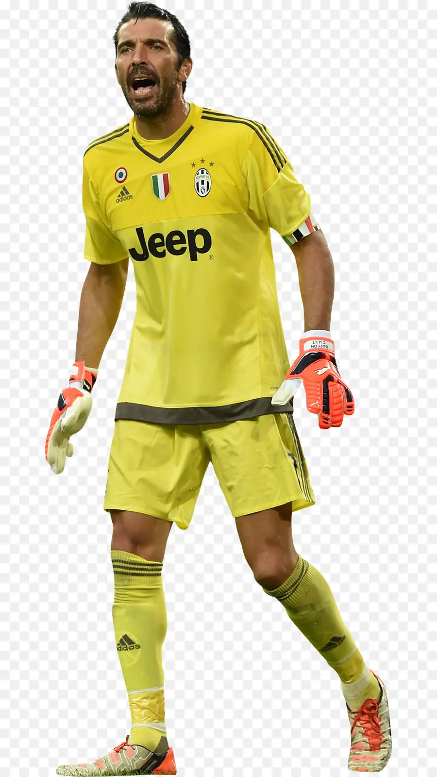 Gianluigi Buffon，A Juventus Fc PNG