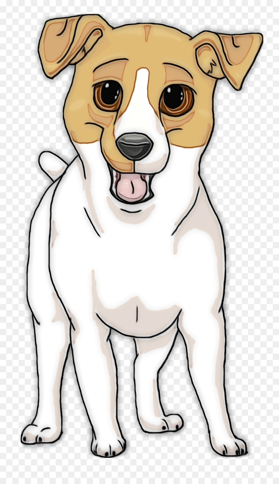 Jack Russell Terrier，Rat Terrier PNG