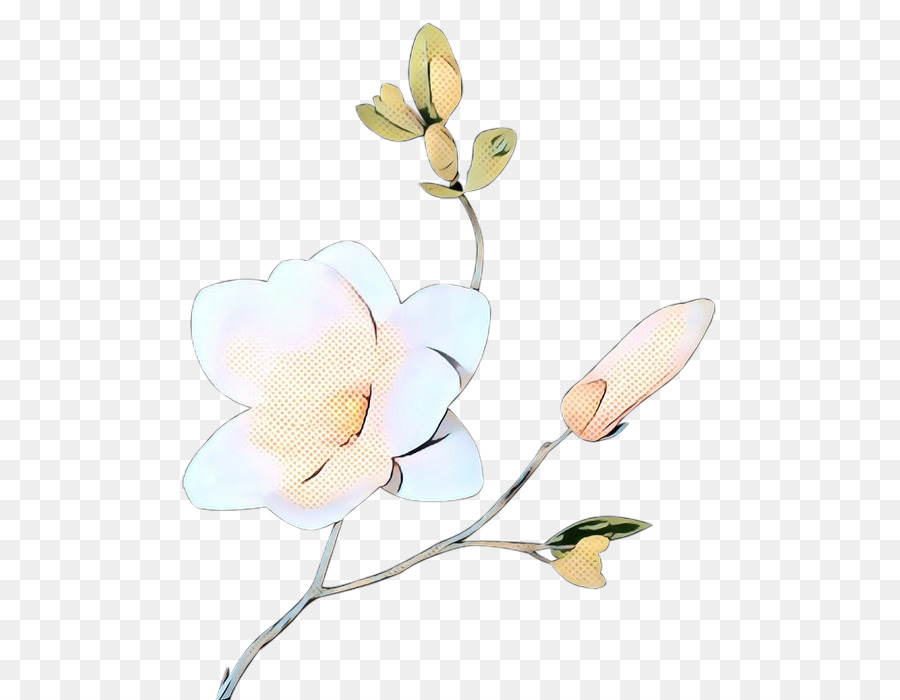 Magnolia Mercado，Flores De Corte PNG