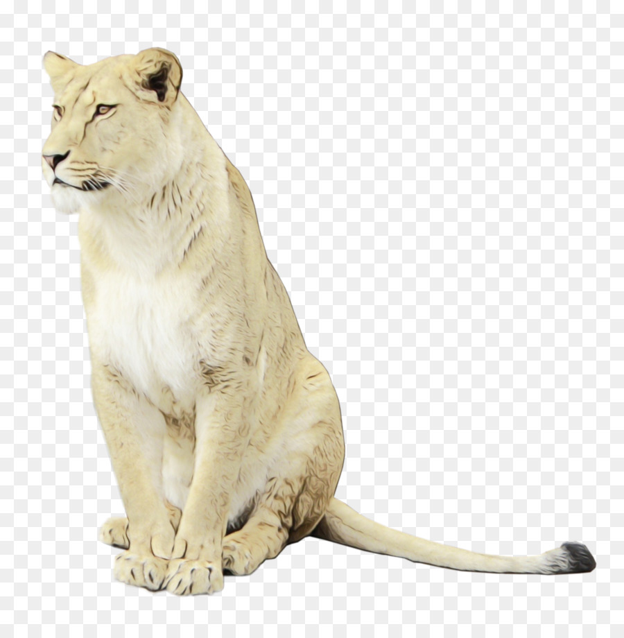 East African Lion，ícones Do Computador PNG