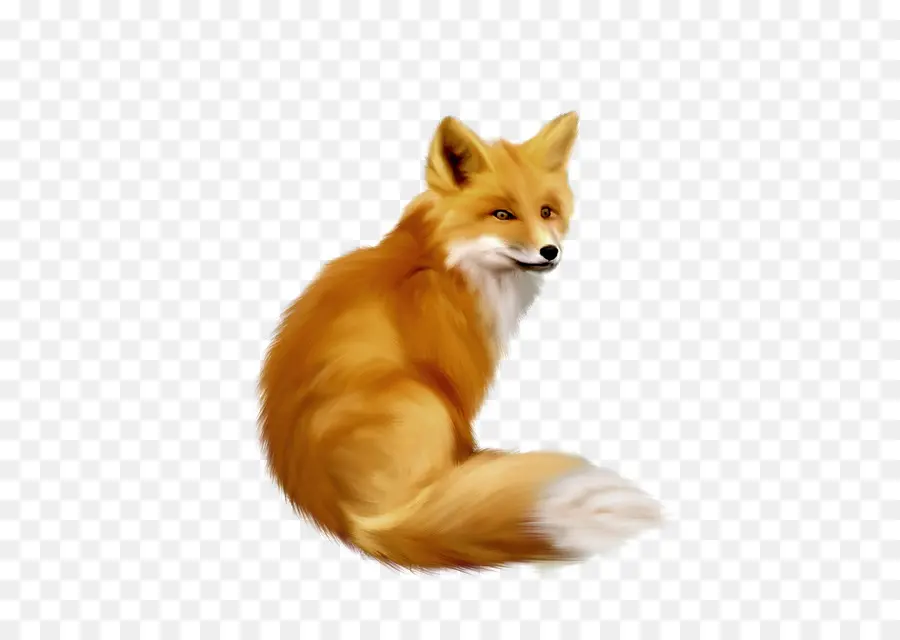 Fox，Download PNG