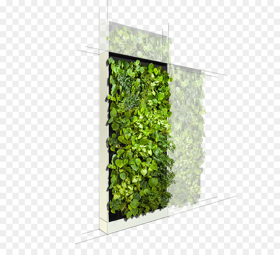 Jardim Vertical，Plantas PNG