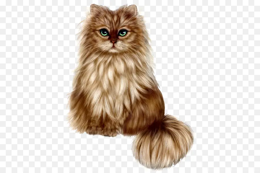 Gato Persa，Gatinho PNG