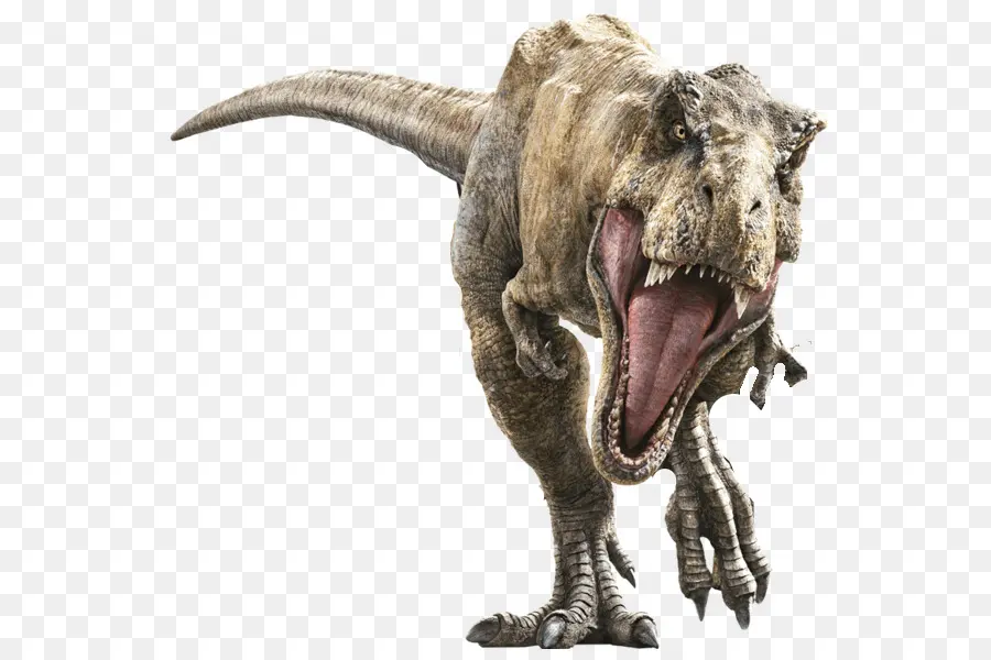 Tiranossauro Rex，Jurassic Park PNG
