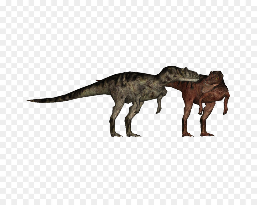 Allosaurus，Tiranossauro Rex PNG