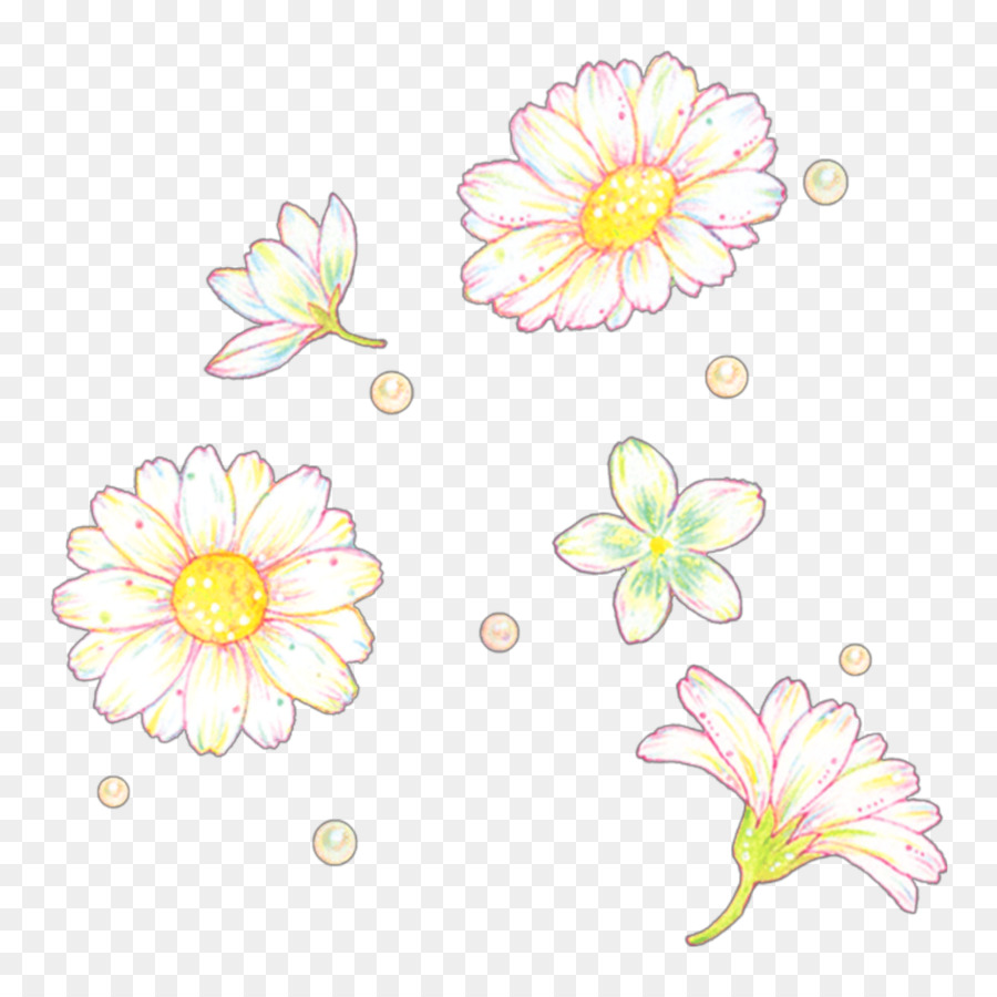 Flor，Florescer PNG