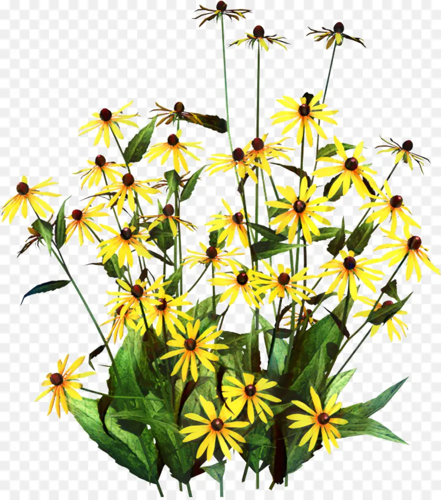 Flores Amarelas，Folhas Verdes PNG