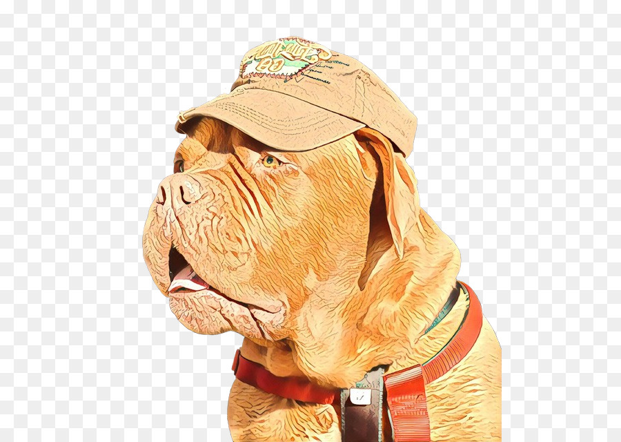 Raça Do Cão，Cachorro PNG