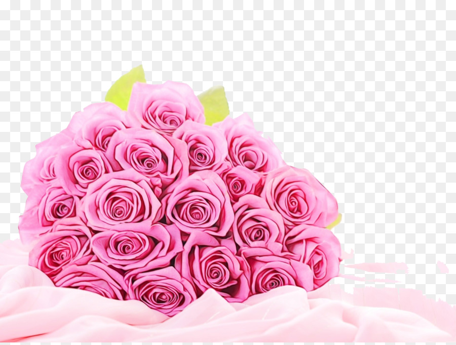 Rosas Cor De Rosa，Florescer PNG