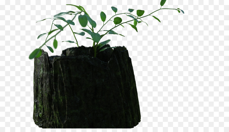 árvore，Flowerpot PNG