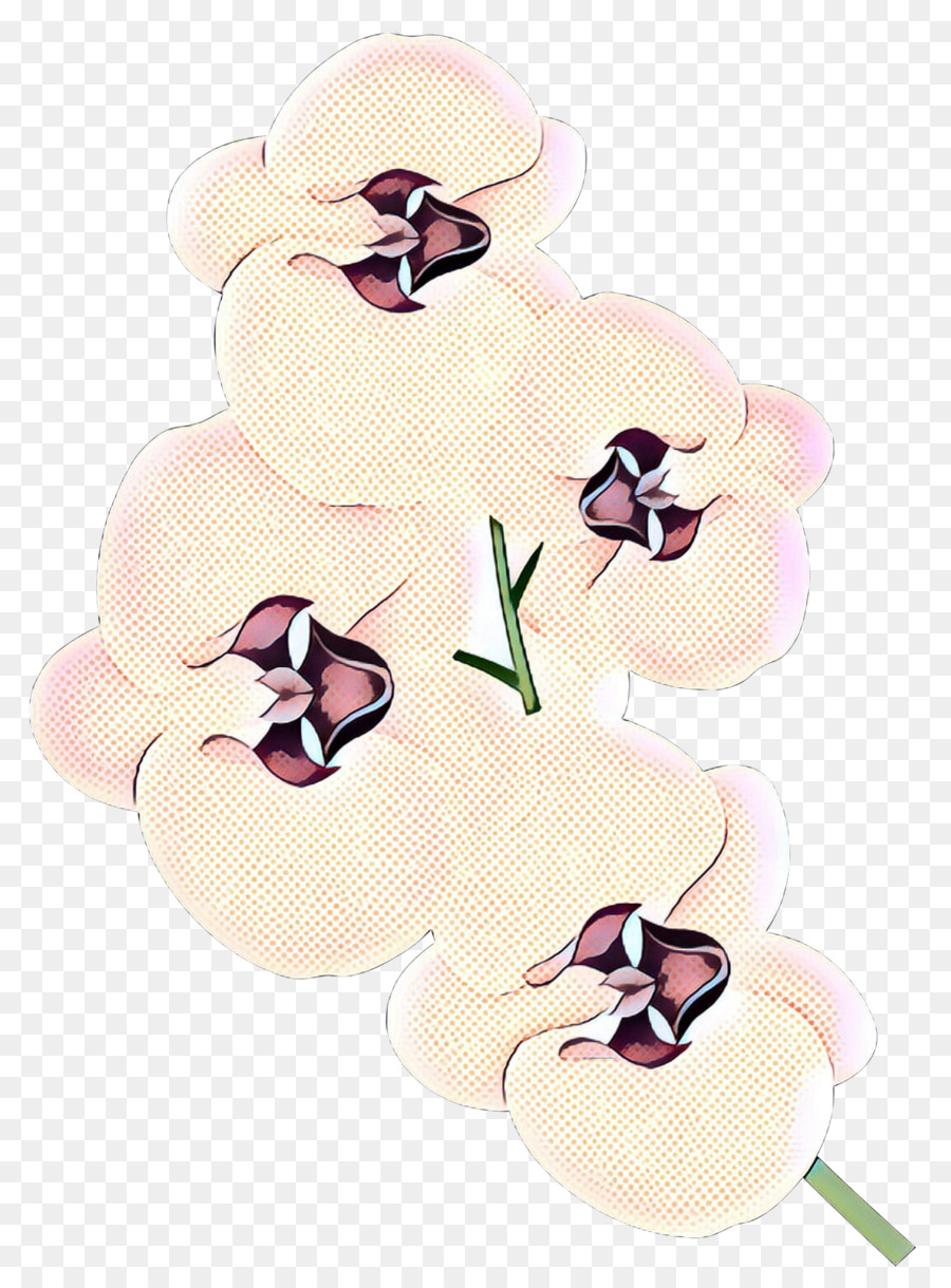 Orquídeas，Traça Orquídeas PNG