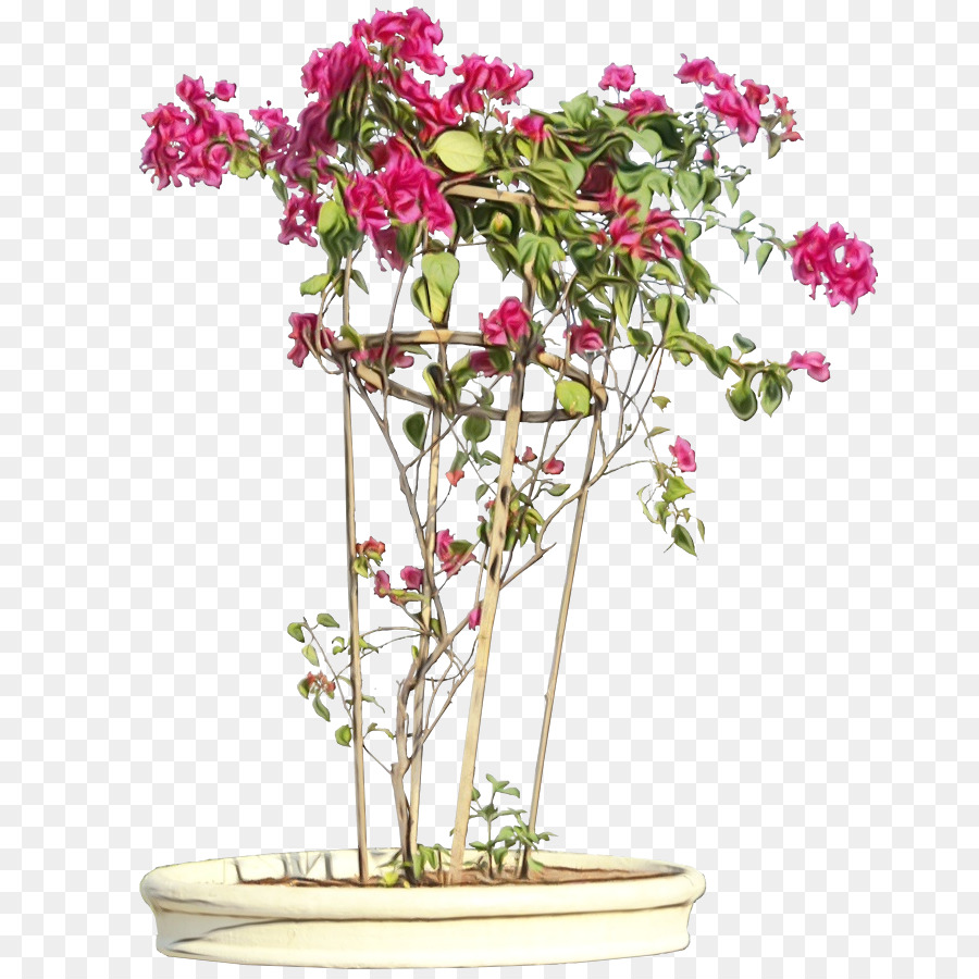 Planta Com Flores，Flores Rosa PNG