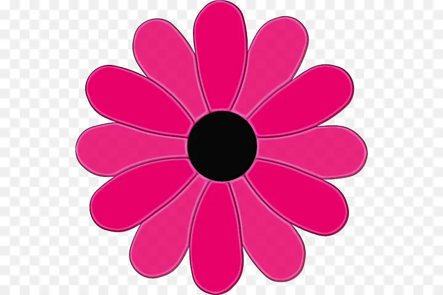 Comum Daisy，ícones Do Computador PNG