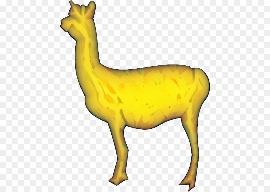 Deer，Camelo PNG