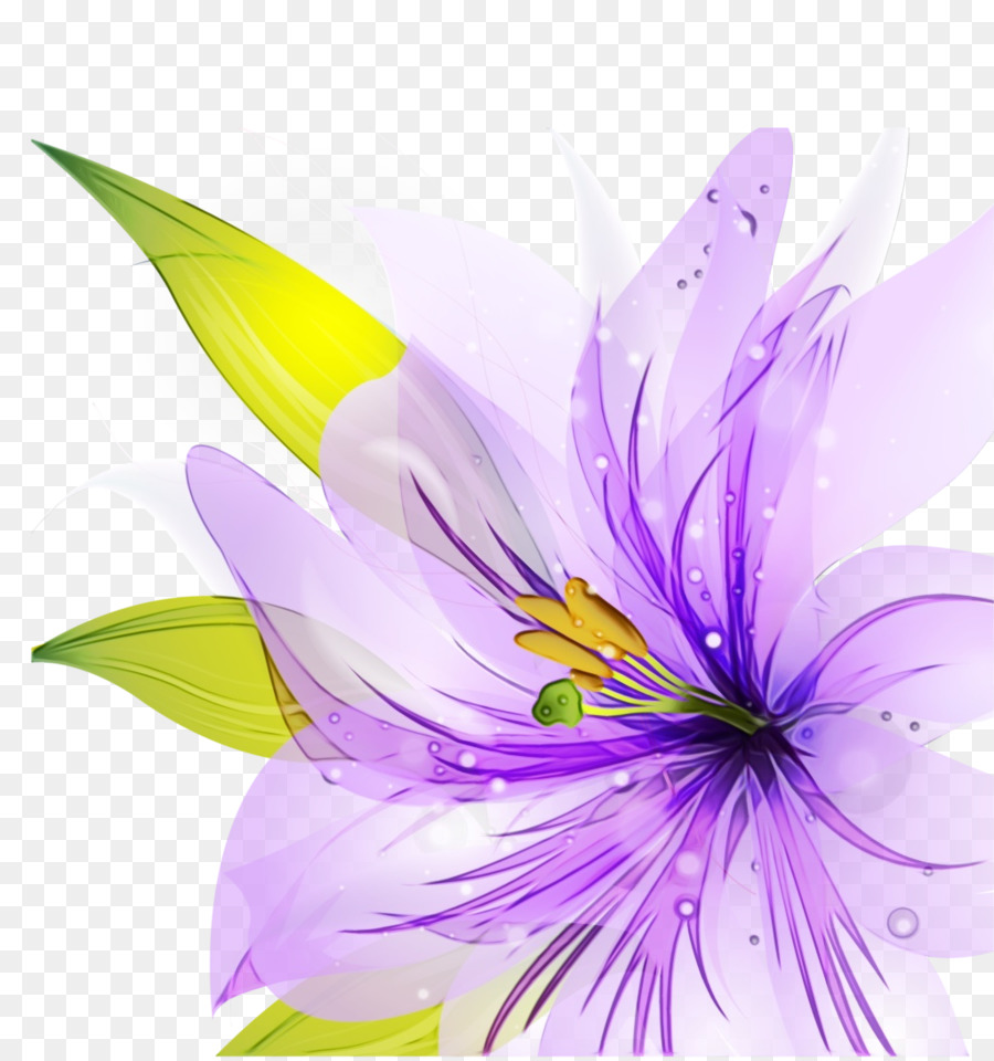 Design Floral，Lily PNG