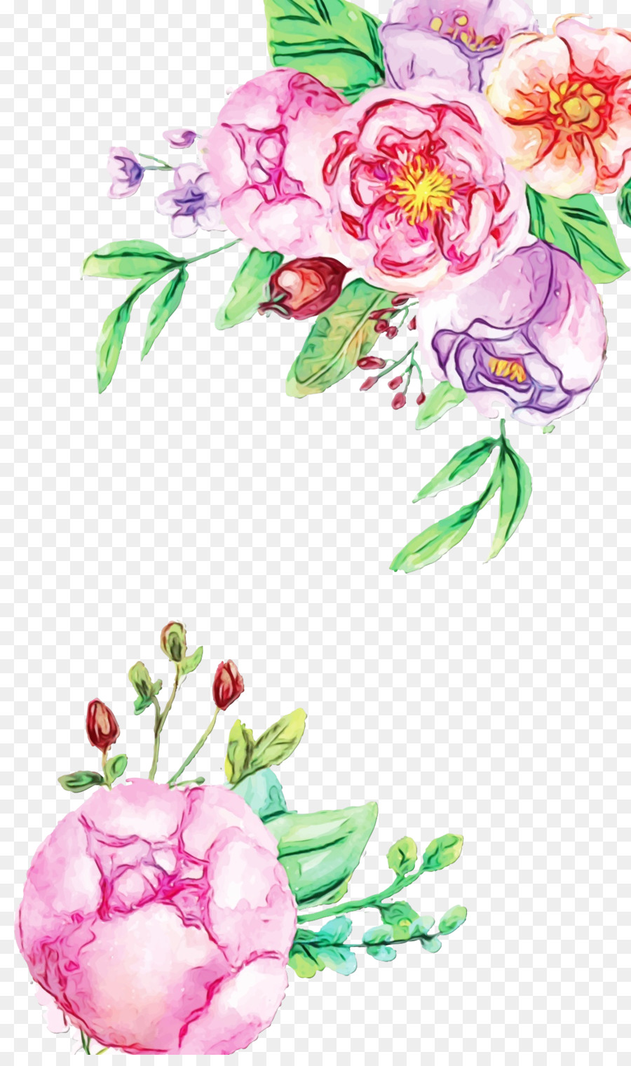 Pintura Em Aquarela，Design Floral PNG