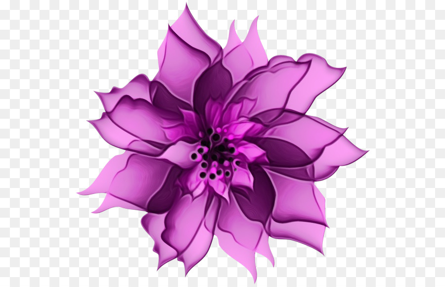 Flor Roxa，Florescer PNG