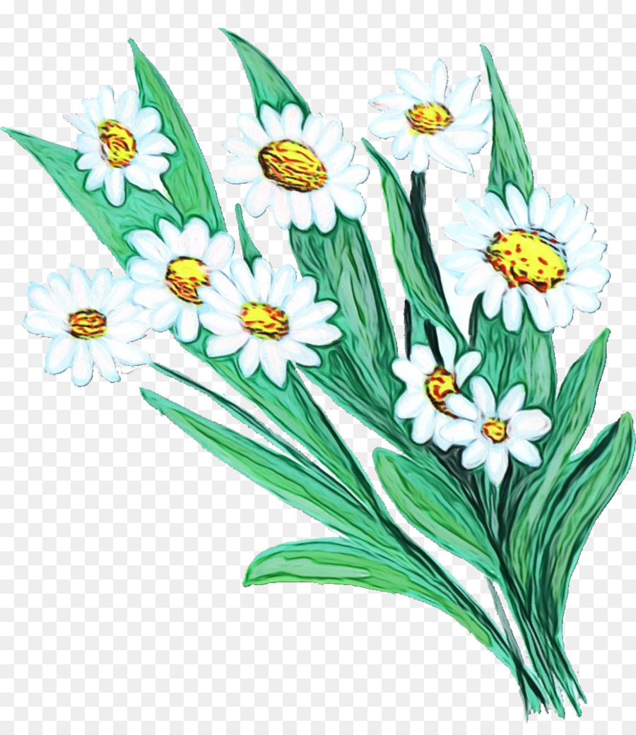 Narcissus，Planta Herbácea PNG