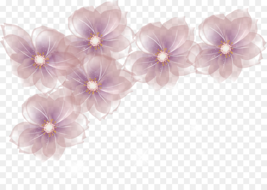 Flores，Florescer PNG