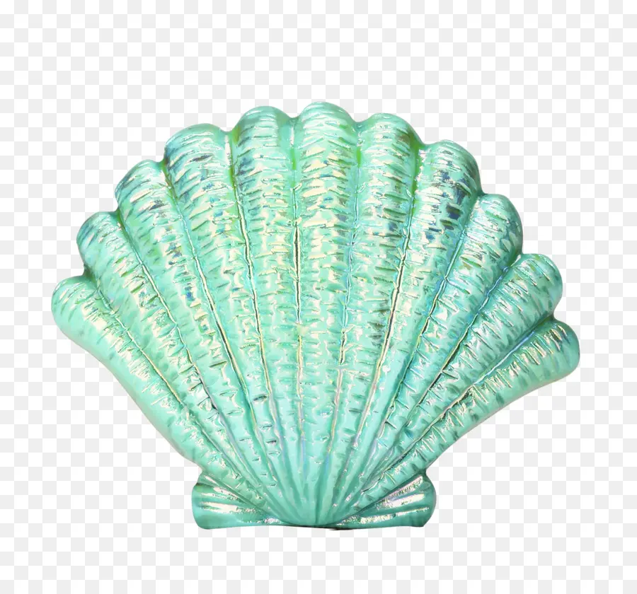 Seashell，Lip Balm PNG