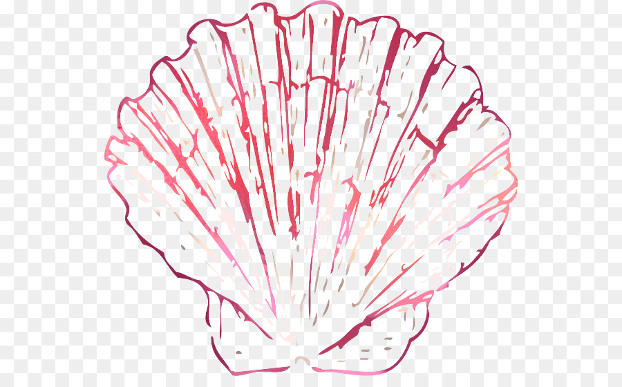 Vieiras，Clam PNG