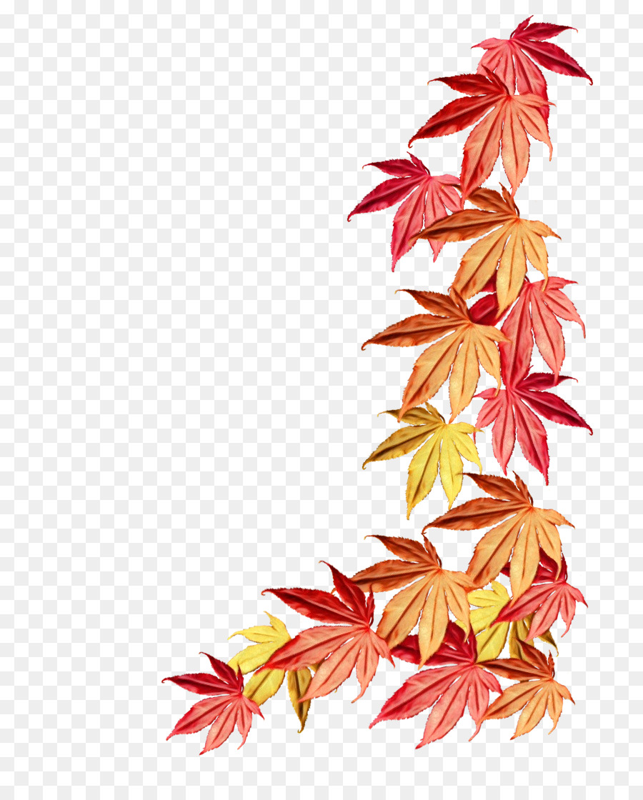 Maple Leaf，Folha PNG