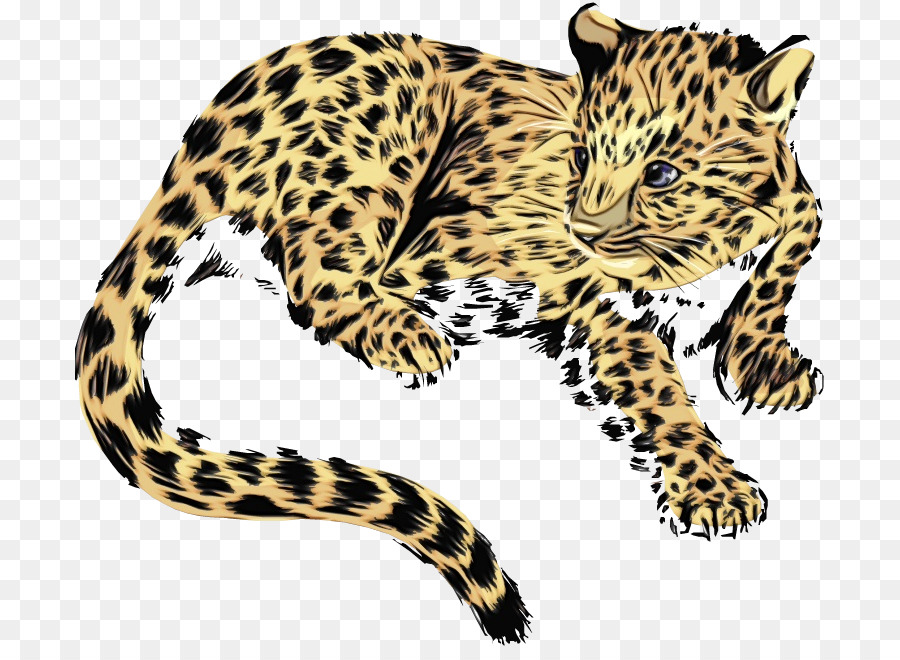 Jaguar，Jaguar Etype PNG