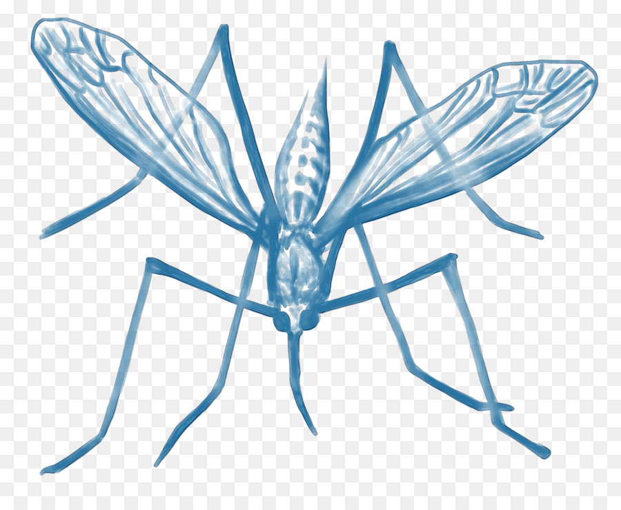 Mosquito，Arte PNG