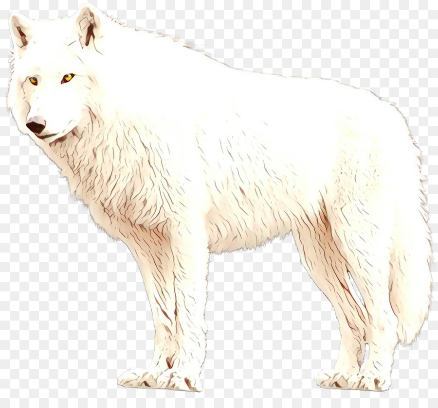 Cachorro，Urso Polar PNG