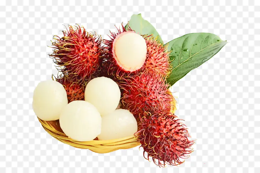 Fruta Rambutan，Tropical PNG