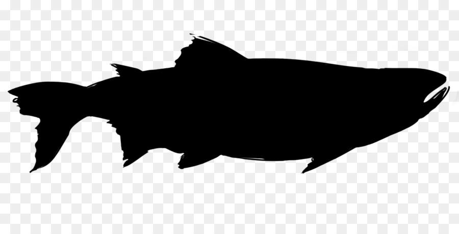 Cachorro，M Branco Preto PNG