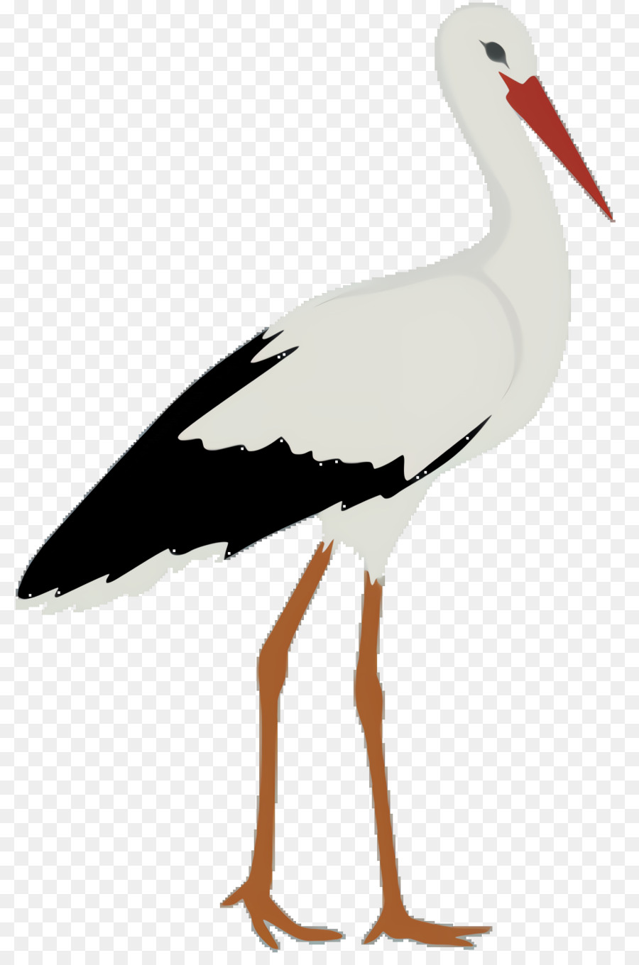 A Cegonha Branca，Aves PNG