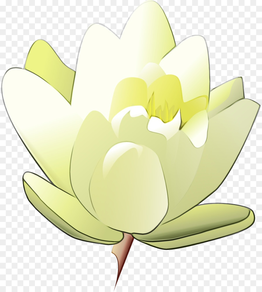 Design Floral，Saúde PNG