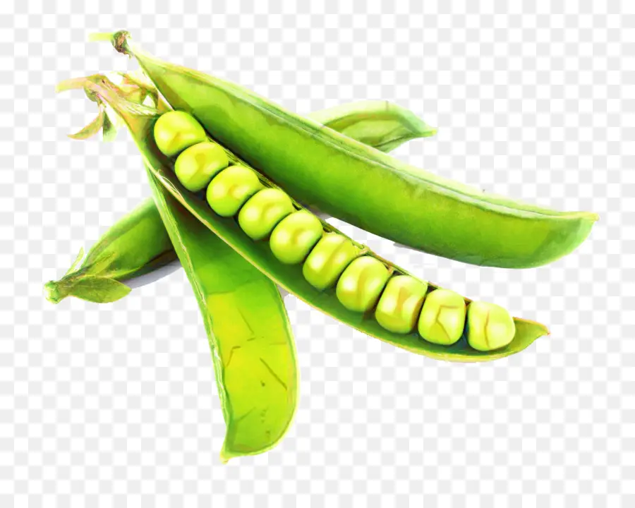 Edamame，Cozinha Vegetariana PNG