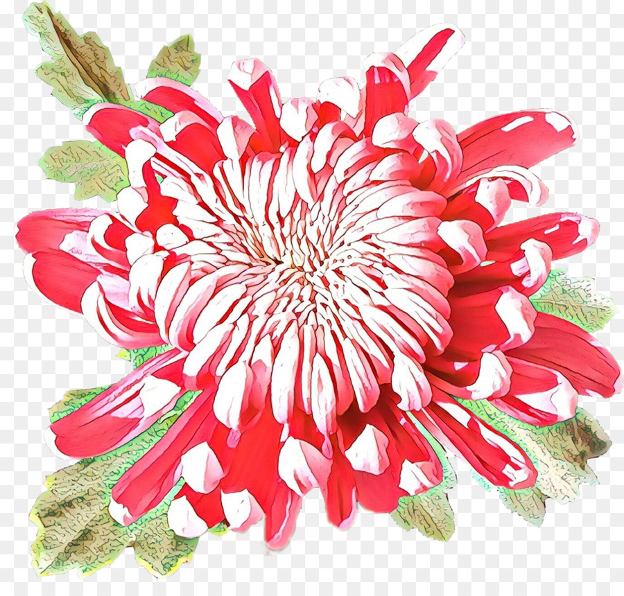 Crisântemo，Design Floral PNG