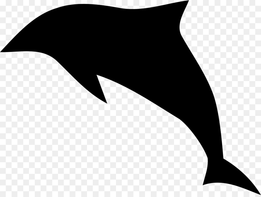 Dolphin，Bico PNG
