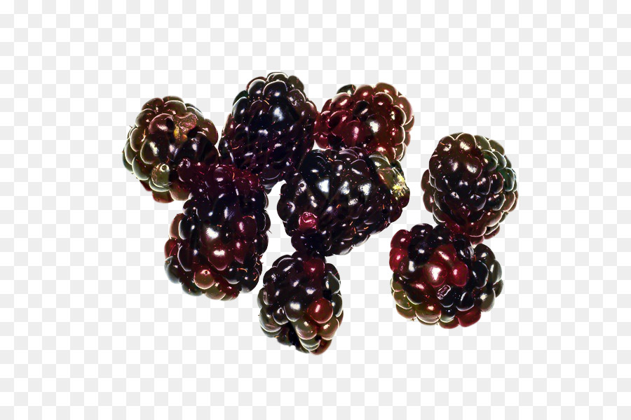 Boysenberry，Inismsci Saudi Acapls PNG