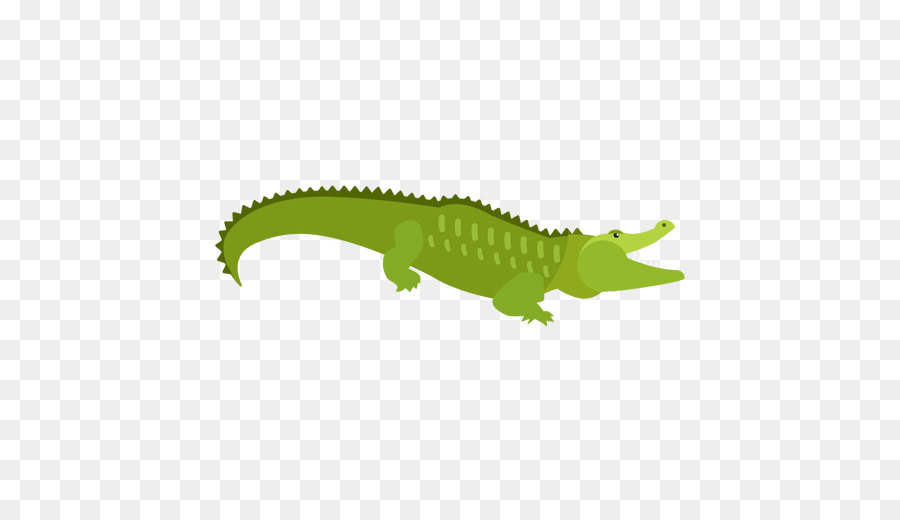 Crocodilo Verde，Desenho Animado PNG