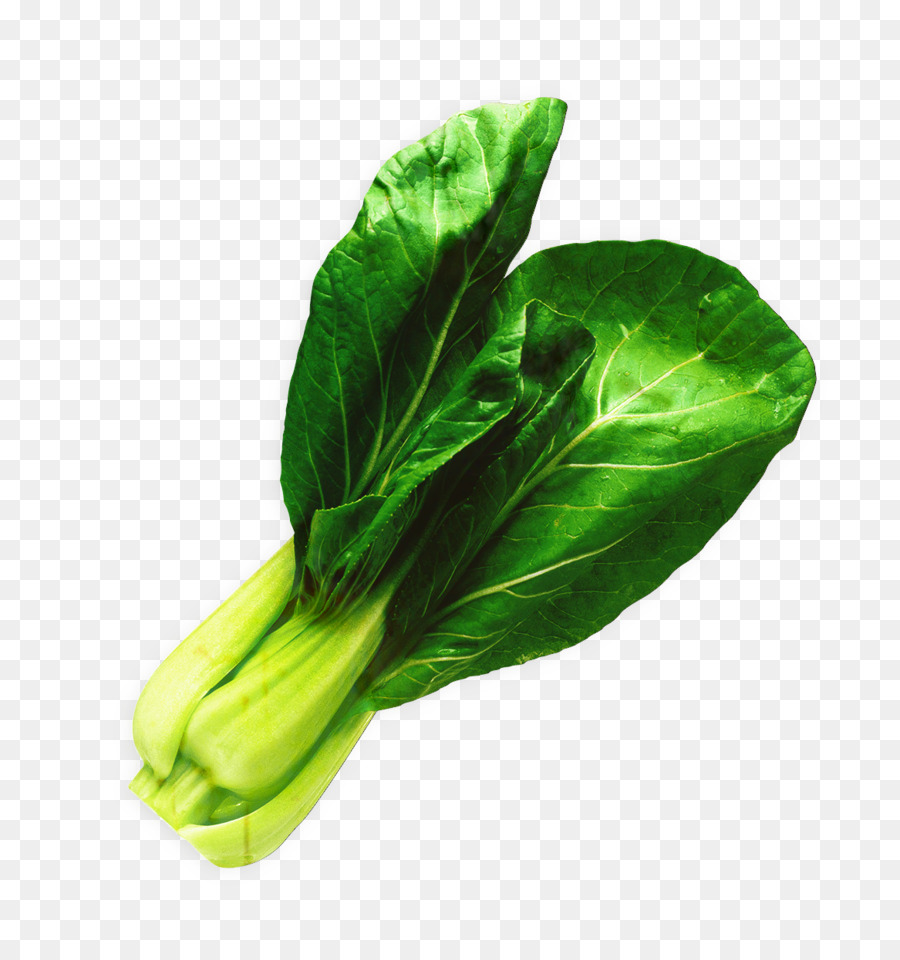 Bok Choy，Verde PNG