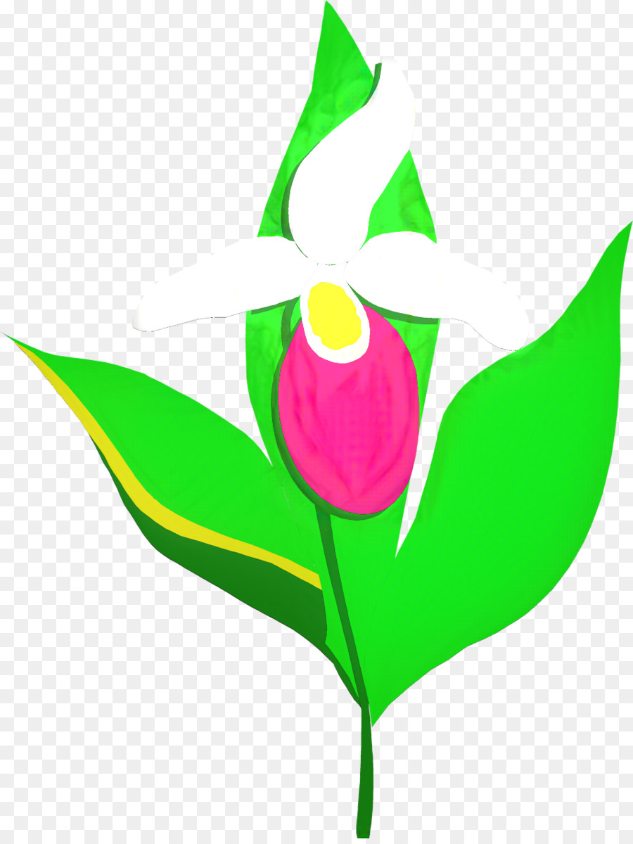 Tulip，Flores De Corte PNG