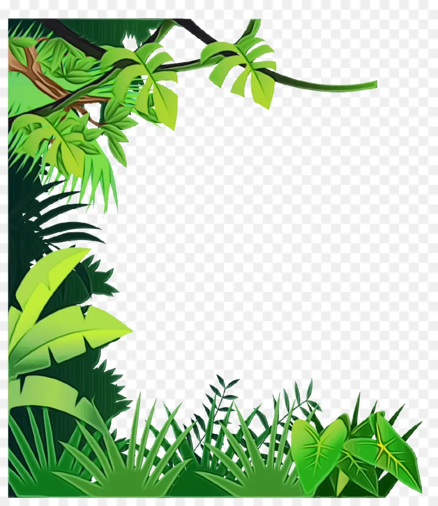 Quadro Selva，Plantas PNG