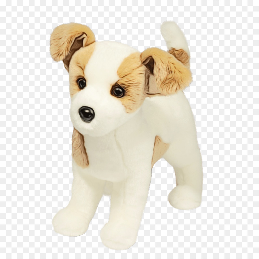 Raça Do Cão，Filhote De Cachorro PNG