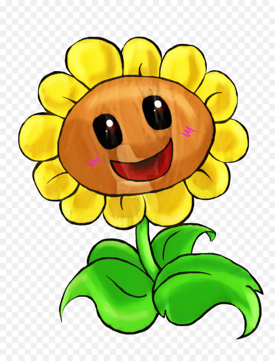 Flor Sorridente，Desenho Animado PNG